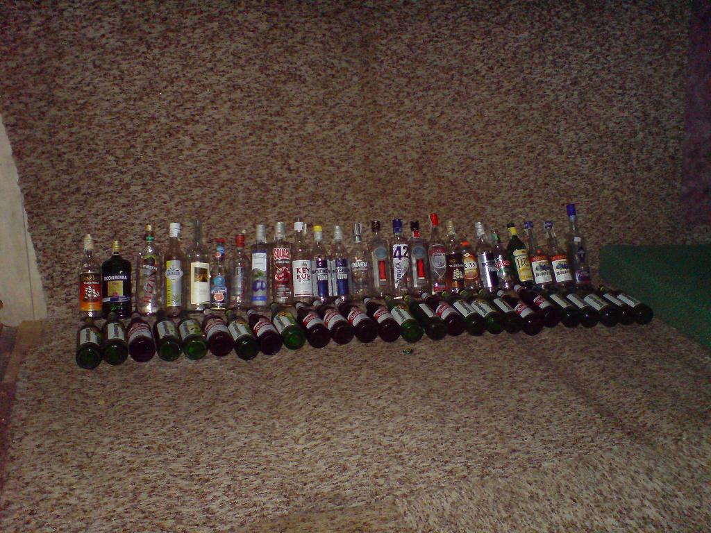 DSC01225.JPG