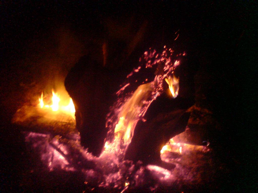 DSC01272.JPG