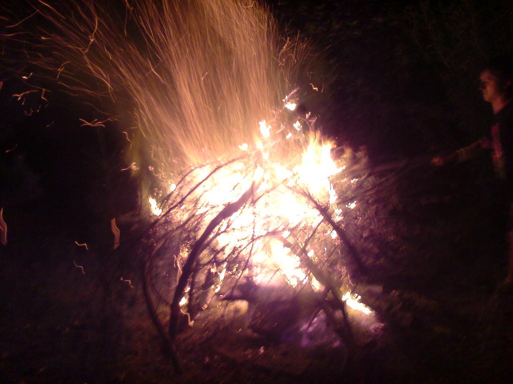 DSC01279.JPG