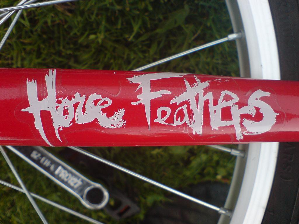 DSC00281.JPG