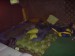DSC00689.JPG
