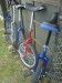 DSC00279.JPG