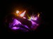 Fire 1.jpg